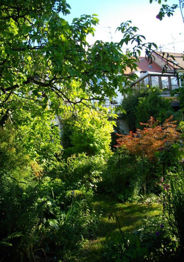 Au-Dessus Du Jardin Appartement Climatise Eckbolsheim Exterior foto