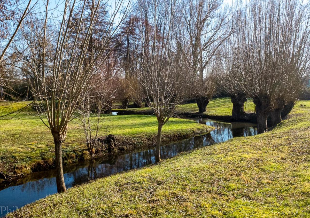 Au-Dessus Du Jardin Appartement Climatise Eckbolsheim Exterior foto