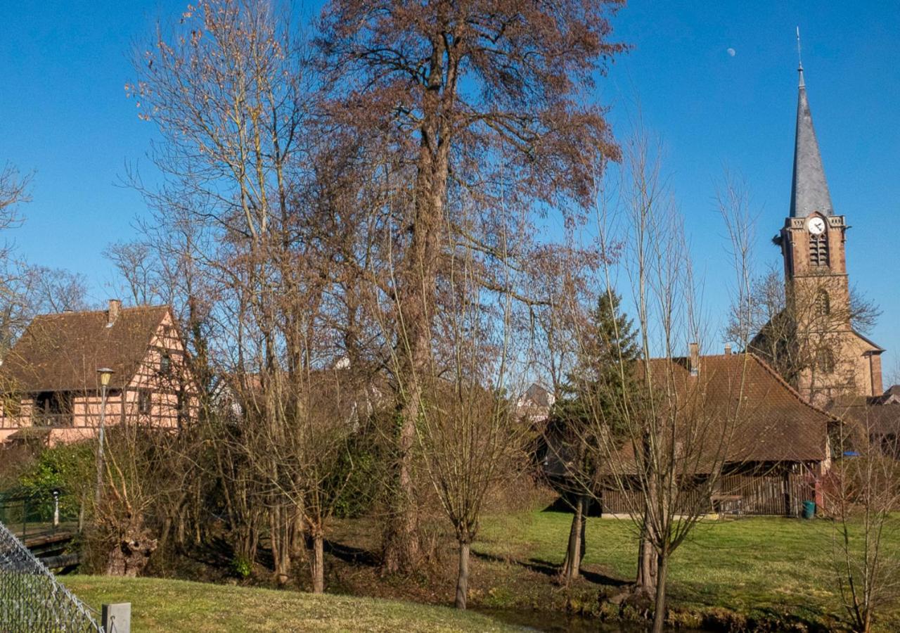 Au-Dessus Du Jardin Appartement Climatise Eckbolsheim Exterior foto